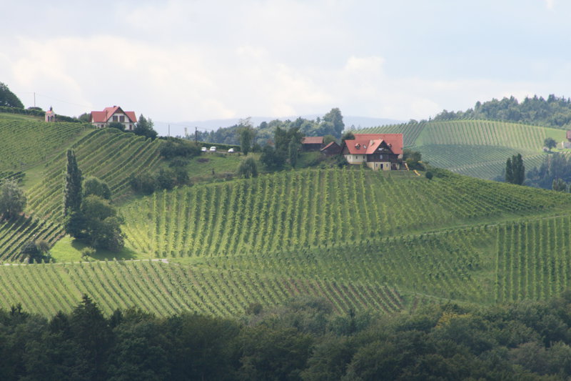 Photography in South Styrian Wine Road, Austria