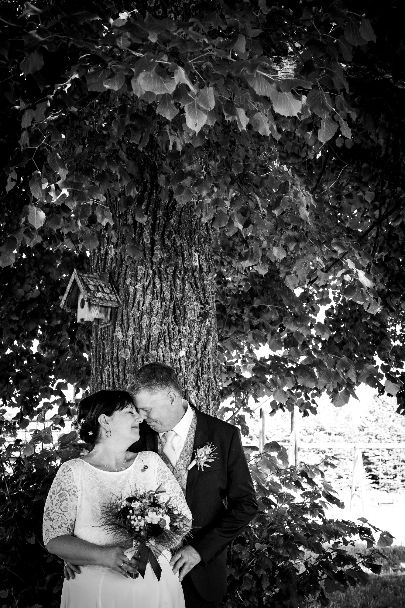 Bodas