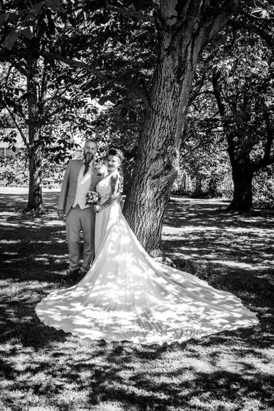 Wedding photoshoot in Vienna by Julia H