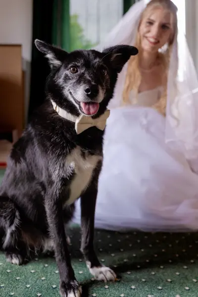 Wedding photoshoot by Jessica L