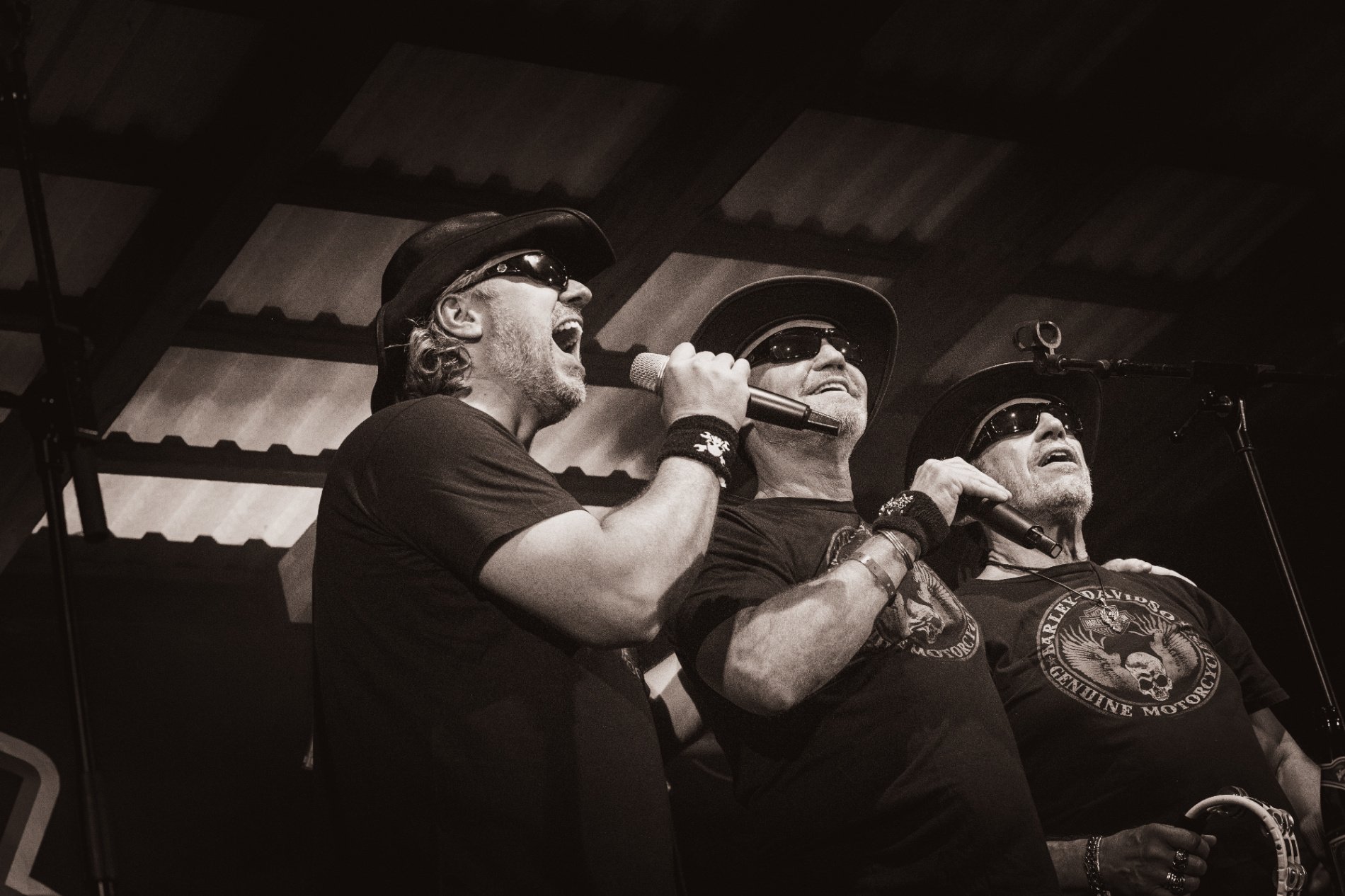 Photo by Claudia Gattinger