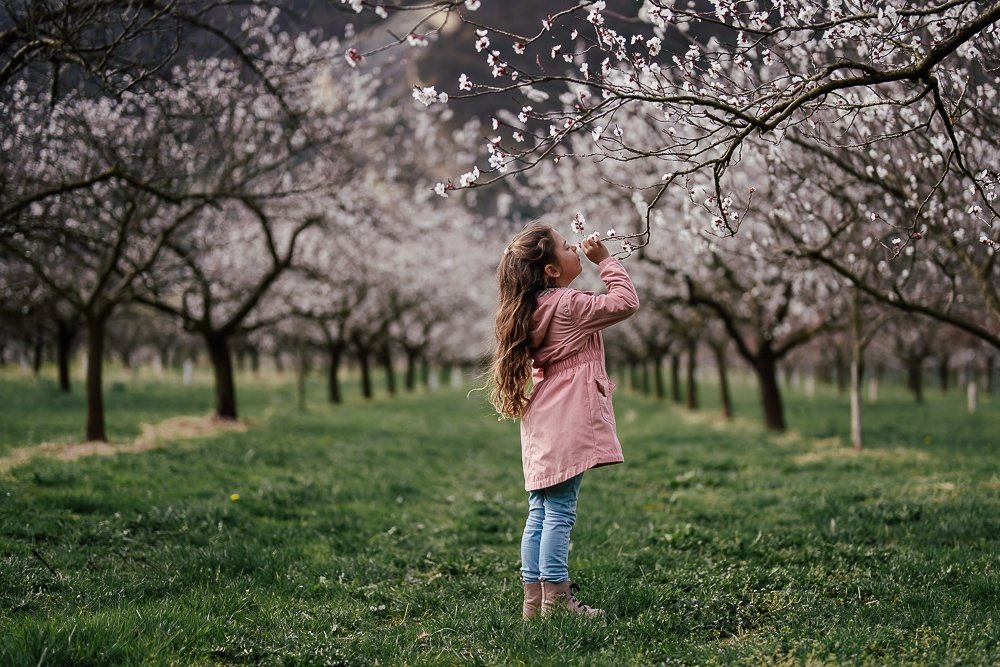 Photo by Angela Kerschbaumer