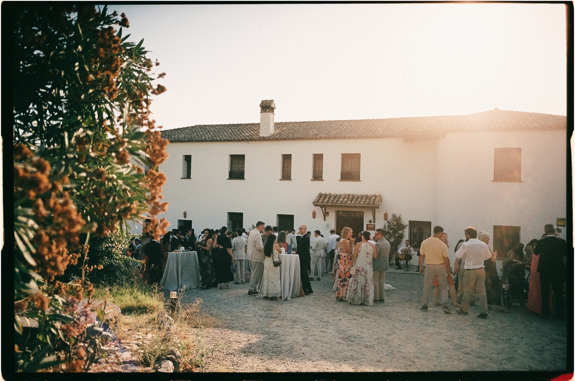 Photo by Dani Haupt